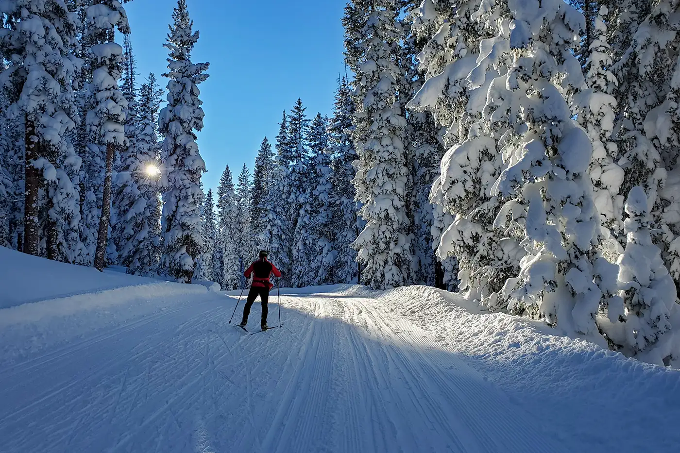 Groomed cross country ski trail on Grand Mesa, Colorado