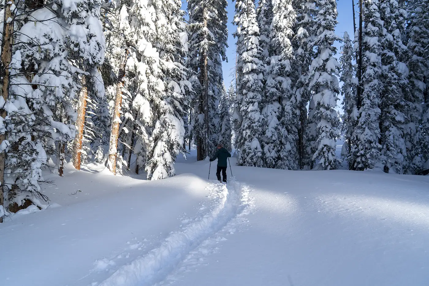 Nordic ski touring from Ward Lake trailhead on Grand Mesa, Colorado