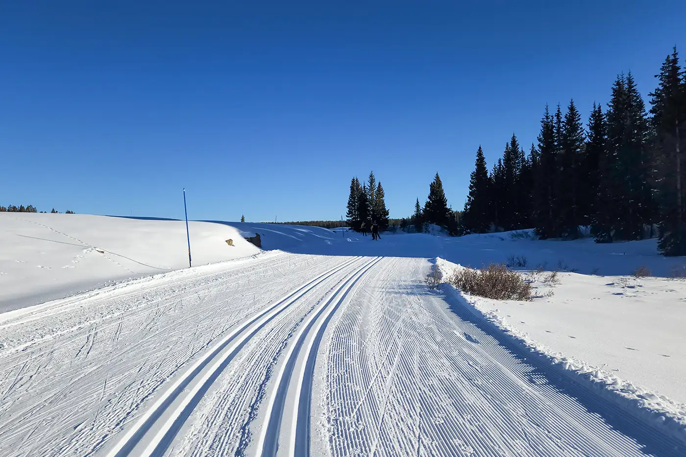 Groomed classic and skate cross country ski trails on Grand Mesa, Colorado